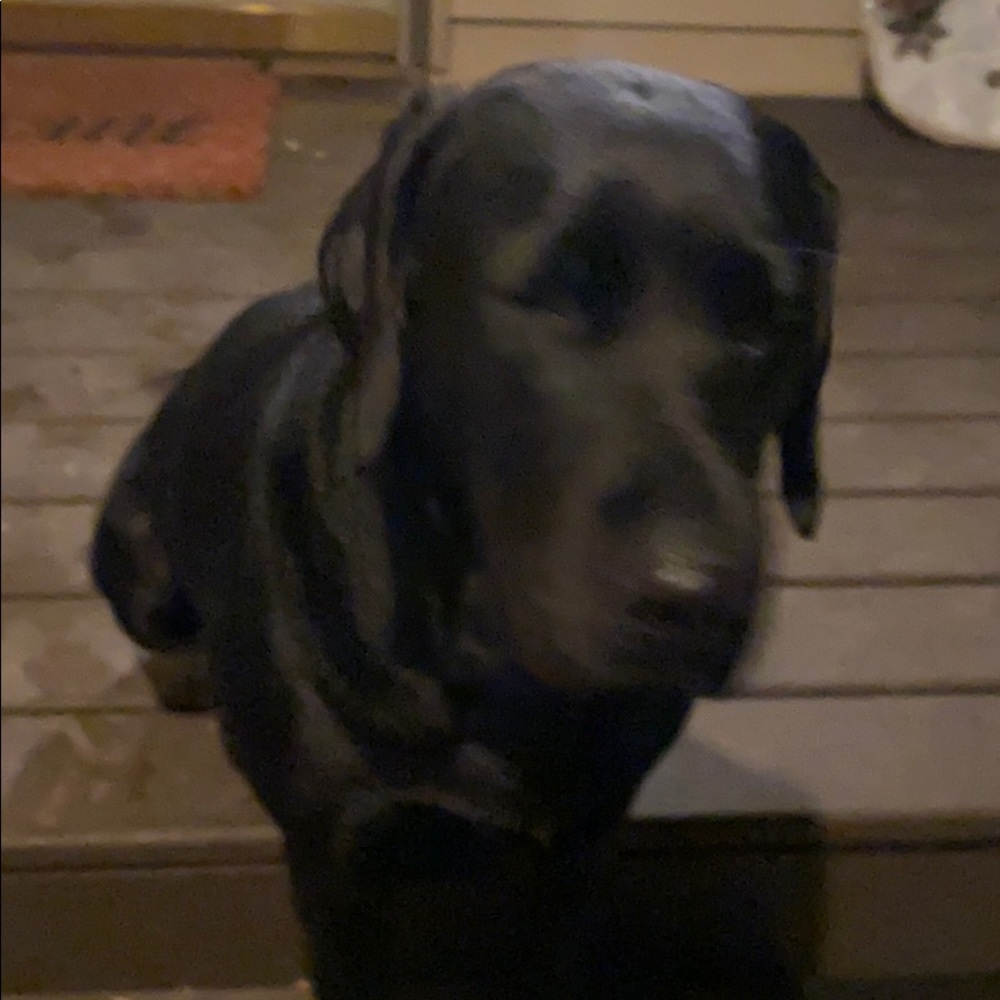 Meet your Posher, Brad